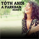 cover: Toth Andi - A Parkban (Remix's)