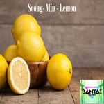 cover: Seong-min - Lemon