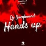 cover: Dj Greyhound - Hands Up