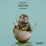 cover: Soul Data - Hot Sauce