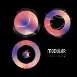 cover: Toby Long - Modular