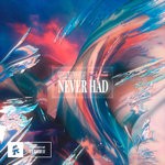 cover: Meggie York - Never Had