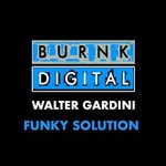 cover: Walter Gardini - Funky Solution