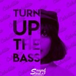 cover: Carvillo - Turn Up The Bass