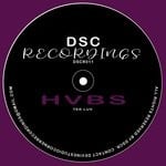 cover: Hvbs - Tek Luv