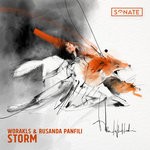 cover: Worakls|Rusanda Panfili - Storm