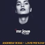 cover: Andrew Ross - Love Me Now