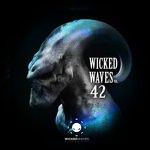 cover: Various - Wicked Waves Vol 42