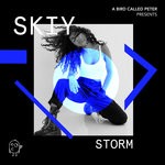 cover: Skiy - Storm