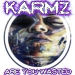 cover: Karmz - Are You Wasted?...