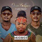 cover: Dvine Brothers|Miss Twaggy - Mjonge