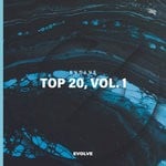 cover: Various - EVOLVE Top 20 Vol 1