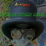 cover: Dr Trippy - Punjabi Swamp Music