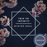 cover: Trip To Infinity - Winter Soul