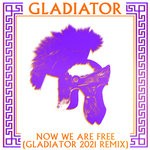 cover: Gladiator - Now We Are Free (Gladiator 2021 Remixes)