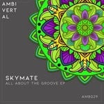 cover: Skymate - All About The Groove