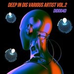 cover: Various - Deep In Dis Vol 2