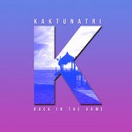 cover: Kaktunatri - Back In The Game (Low Fi Dry)