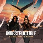 cover: Kumar - Indestructible