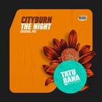 cover: Cityburn - The Night