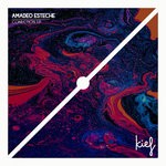 cover: Amadeo Esteche - Conection EP