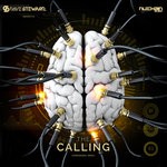 cover: Dave Steward - The Calling (Original Mix)