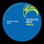 cover: Andres Volta - Alzir