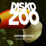 cover: Anhanguera - Toucan