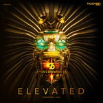 cover: Dave Steward - Elevated