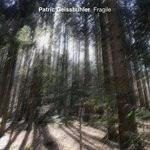 cover: Patric Geissbuhler - Fragile