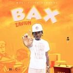 cover: Zavium - Bax