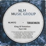 cover: Torque Muziq - King Of Rotation VIII