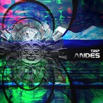 cover: Various - Andes Trip