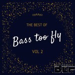 cover: Dj Tiny M|Soundman - Best Of Bass Too Fly