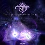 cover: Hinap - Life Engineering