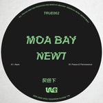 cover: Moa Bay - Newt