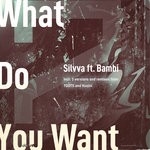 cover: Bambi|Silvva - What Do You Want EP