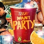 cover: Teejay - Want Party