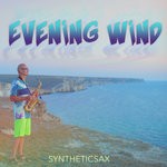 cover: Syntheticsax - Evening Wind