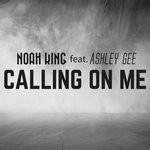 cover: Ashley Gee - Calling On Me