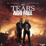 cover: Ceejay|Dadon - Tears Ago Fall