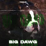 cover: Toolie - Big Dawg (Explicit)