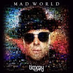 cover: Timmy Trumpet - Mad World (Explicit)