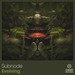 cover: Subnode - Evolving