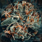 cover: Teksa - Therapy