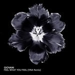 cover: Giovani - Feel What You Feel