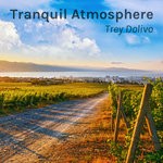 cover: Trey Dolivo - Tranquil Atmosphere