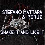 cover: Peruz - Shake It And Like It