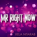 cover: Xela Nitarab - Mr Right Now