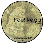 cover: Paul Vega - Ocb